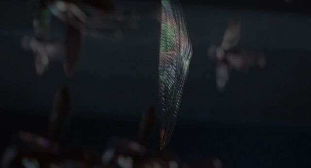File:Ant-thony-Remains.jpeg