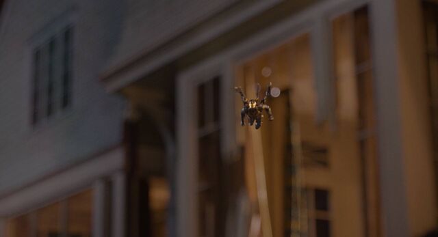 File:Antman 08829-1-.jpeg