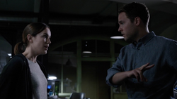AWI FitzSimmons
