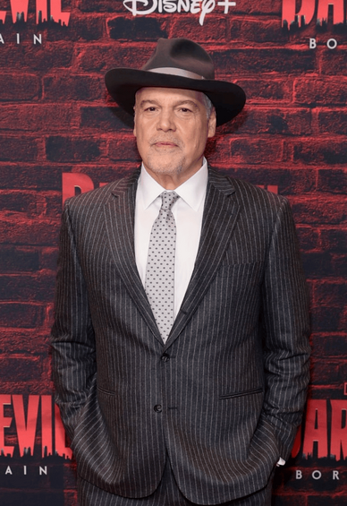 File:Vincent D'Onofrio.png