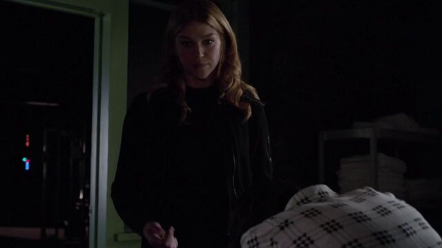 File:Bobbi-Morse-tricked-by-Simmons.jpg