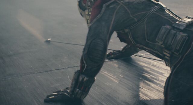 File:Antman 05561-1-.jpeg
