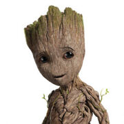 Groot-240x240