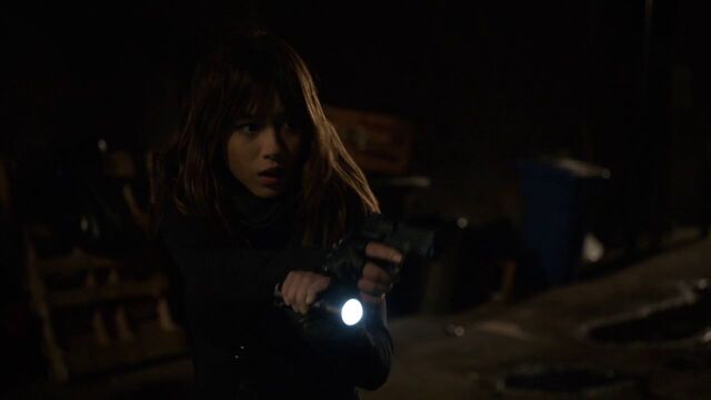 File:Skye-looks-for-her-father.jpg