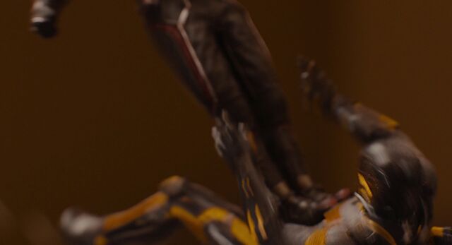 File:Antman 08714-1-.jpeg