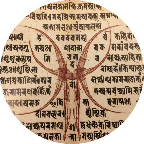 File:Zealots Icon.png