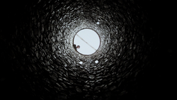 The Well