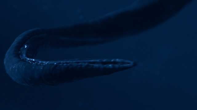 File:It tentacle.png