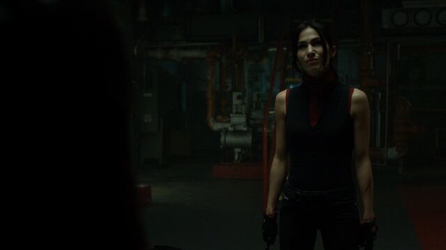 File:ElektraConfrontsStickDD-S2E12.jpg