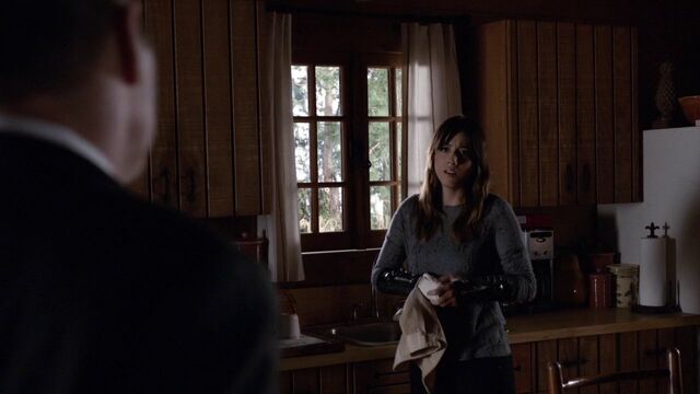 File:Skye-retreat-Goodbye-Coulson.jpg