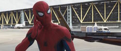 SpiderMan-WhatShouldIDo-CACW.jpg