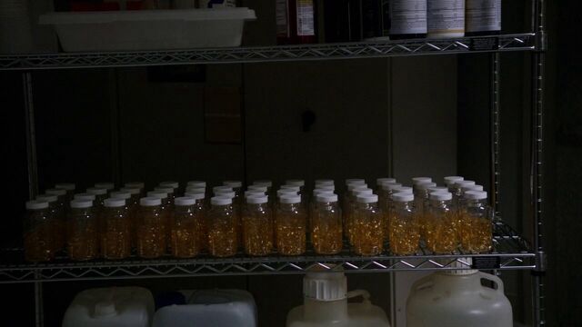 File:ATCU's Fish Oil.jpg
