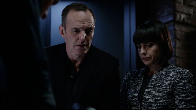 File:Coulson-Price-HYDRA-History.jpg