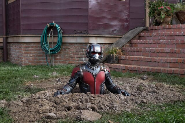 File:Ant-Man promo 12.jpg