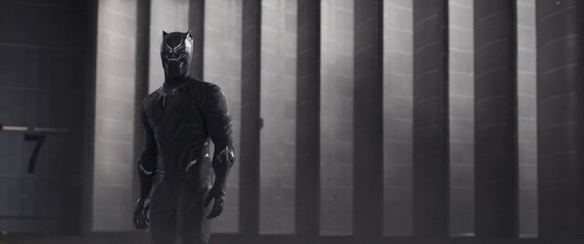 File:BlackPantherLosesWinterSoldier.jpg