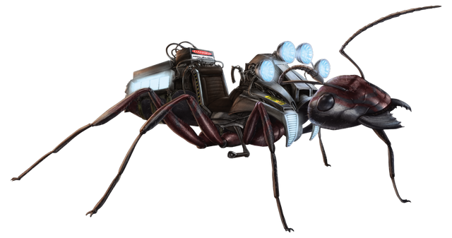 File:Carpenter Ant FH.png