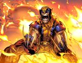 Wolverine (Titan)