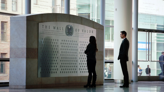 File:WallOfValor1-AoSSeeds.png