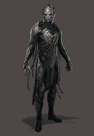 File:Darkelfconc3.jpg