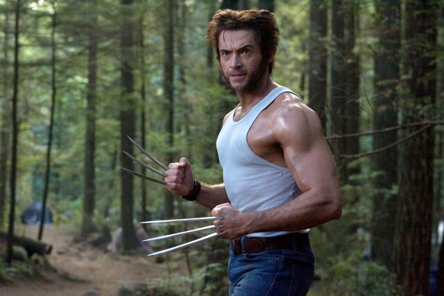 File:Wolverine301.jpg