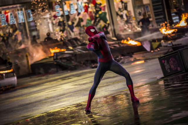 File:Swingingweb-spider.jpg