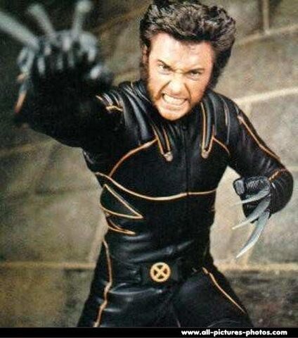 File:Hugh-jackman-026-img.jpg