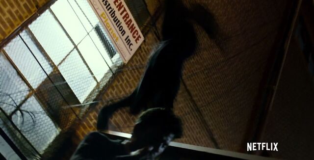 File:Daredevil netflix 11 .jpg