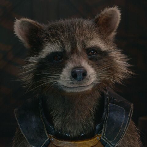 File:Rocket GotG close.jpg