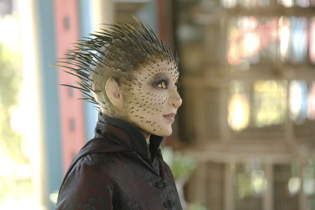 File:Agents-of-SHIELD-Season-2-Raina.jpg