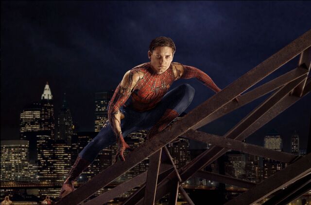 File:Spider-Man-peterParker.jpg