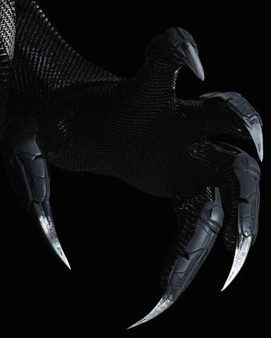 File:Talons of Black panther.jpg