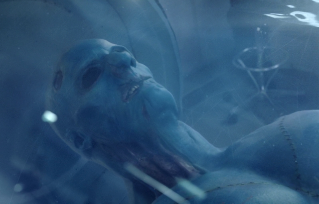 File:GHCorpse-AoSTAHITI.png
