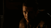 ShrillBitterFox-size restricted.gif