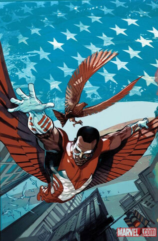 File:Falcon.jpg