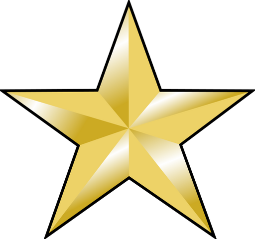Archivo:622px-EstrellaOro PPN svg (1).png