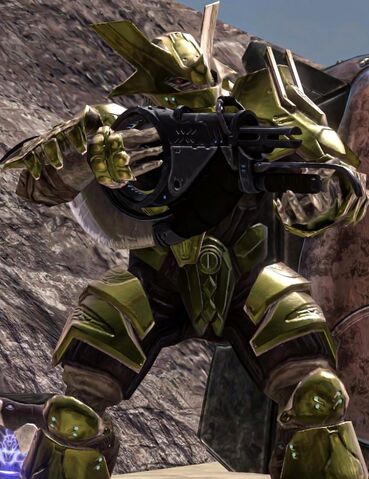 File:Brute.jpg