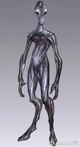 Soubor:Salarian Anatomy.jpg