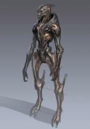 180px-Turian without armor.jpg