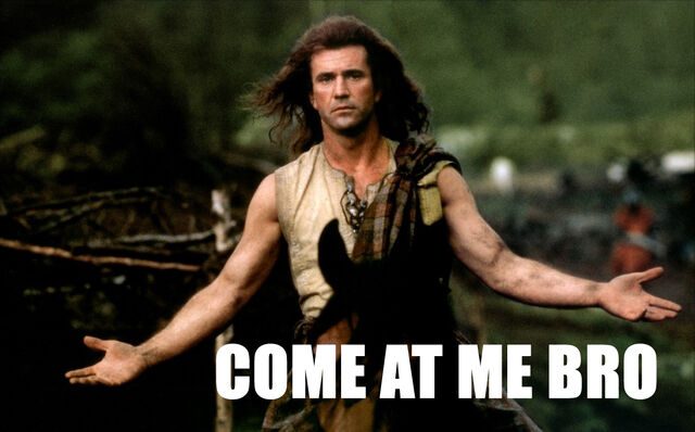 File:Come at me bro.jpg