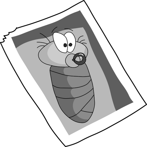 Файл:99.png