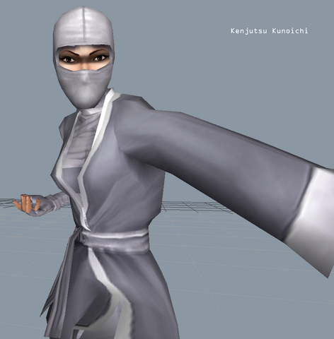 File:Kenjutsu Kunoichi.png
