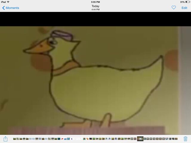 File:Duck 2.jpg