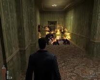 Molotovdaños