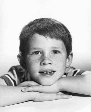 File:Gal cs ron howard1.jpg