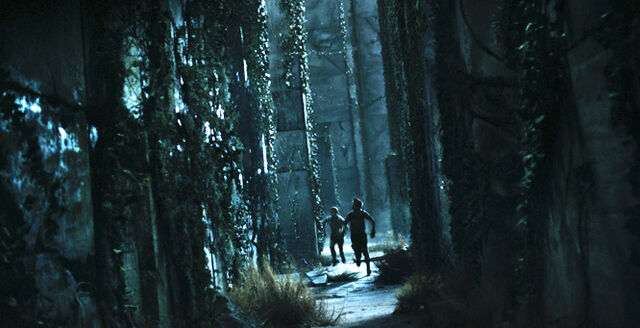 File:Mazerunner finalstill.jpg