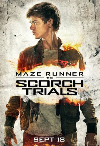 Archivo:Newt P.jpg