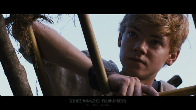 File:Sangster newt.jpg