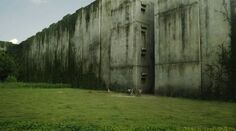 The Maze Runner 8