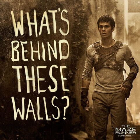 Archivo:MAZERUNNER.jpg
