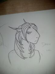 Darsi